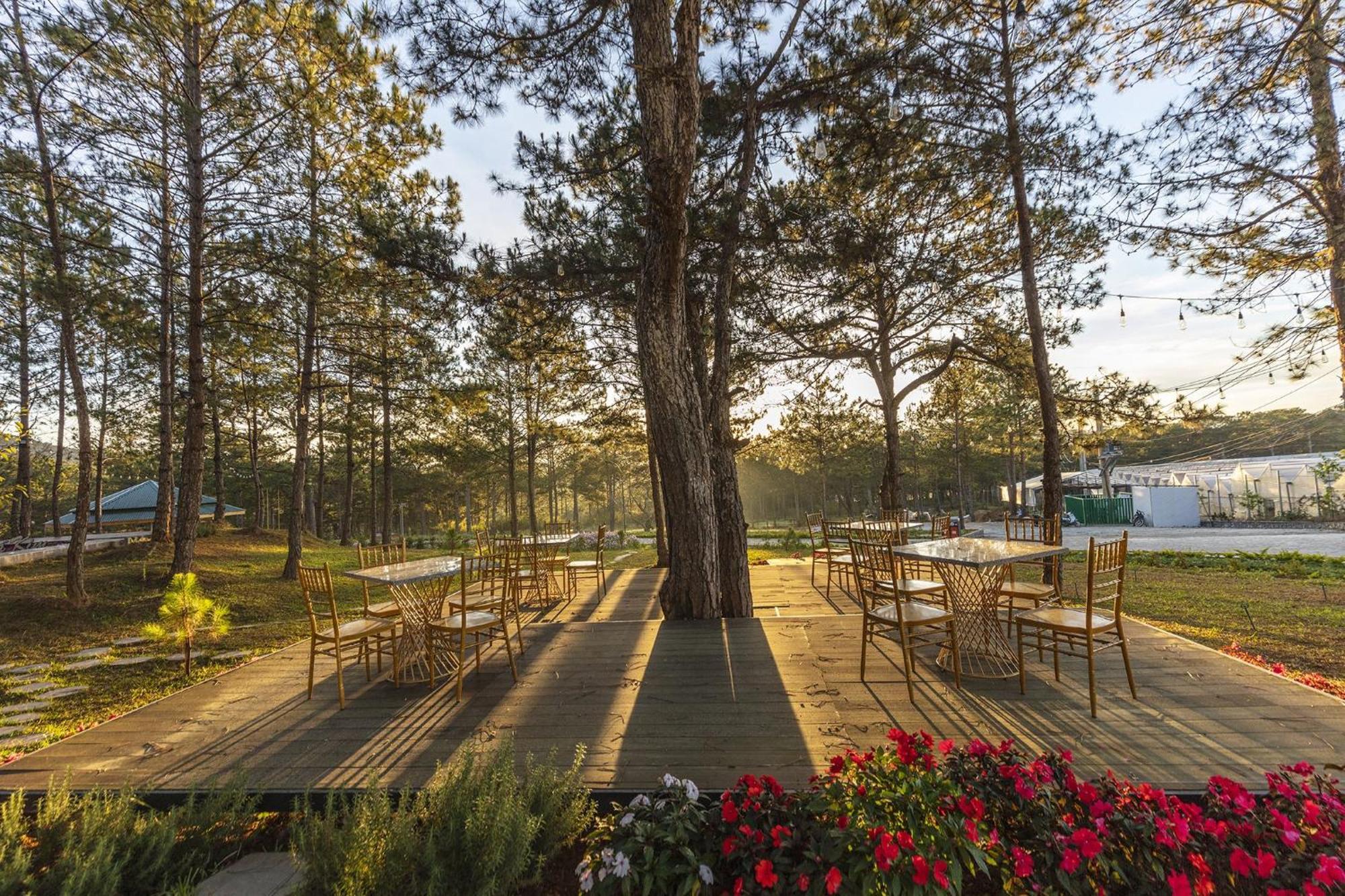 Kim Resort - Khu Nghi Duong Rung La Kim Da Lat Kültér fotó
